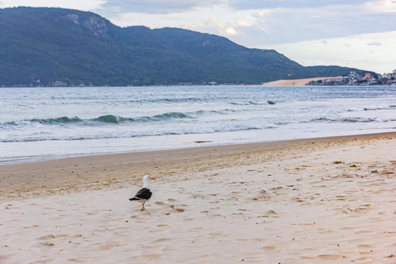 Cobertura Com Vista Mar Para 6 Hospedes, 150 Metros Da Praia Dos Ingleses Ing17 フロリアノポリス エクステリア 写真